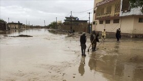 سیل در الجزایر جان ۴ تن را گرفت