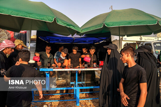 «پویش خدمت حسینی» کوتاهترین راه خدمت به زائران اباعبدالله