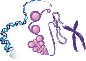 سفری به سلول‌های عصبی و بررسی تغییرات اپی‌ژنتیک