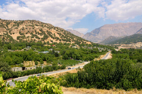 برداشت انگور در روستای «بیاره» شهرستان دنا