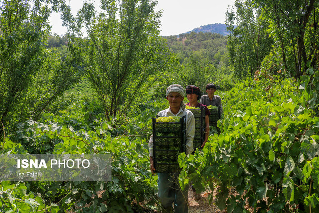 ازسرمایه گذاری۸۰۰۰۰میلیارد تومانی اشتغالزایی درمناطق روستایی وعشایری تابرگشت مهاجران به روستاها