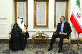 تقدیم استوار نامه عبدالله العنزی،سفیر جدید عربستان به حسین امیرعبداللهیان
