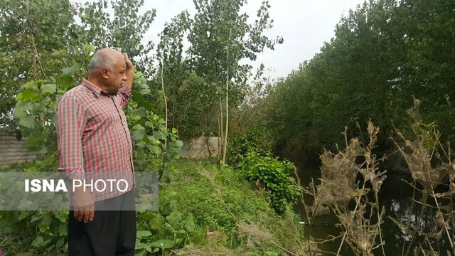 "حشمت رود" بیشه زار خاطرات پزشک جنبش جنگل را آبیاری می کند