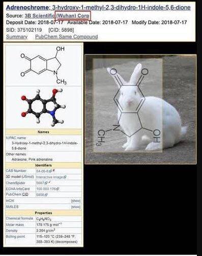 فیلم پرفروشی که به تاریکترین راز هالیوود میپردازد/ این داستان هولناک افسانه نیست+عکس و فیلم