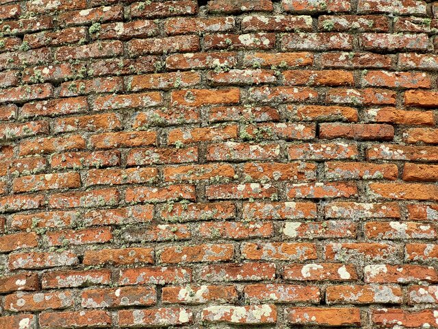 حال و روز برج دیدهبانی «نهضت جنگل» + عکس