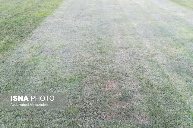 وضعیت نامطلوب چمن ورزشگاه آزادی + عکس