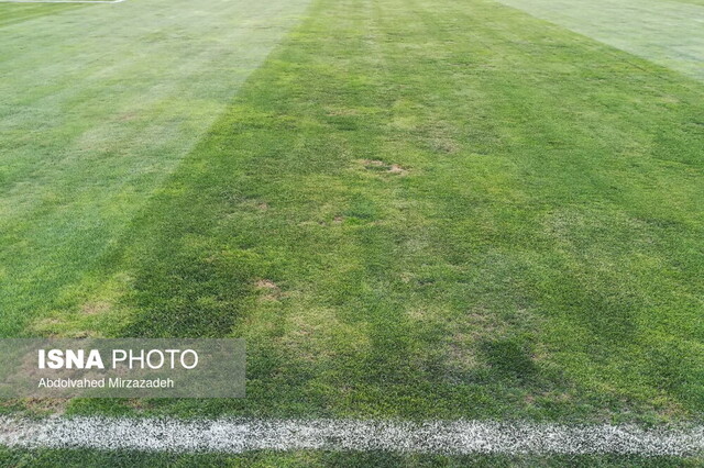 وضعیت نامطلوب چمن ورزشگاه آزادی + عکس