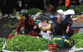 عرضه محصولات کشاورزی گیلان با محوریت سازمان تعاون روستایی