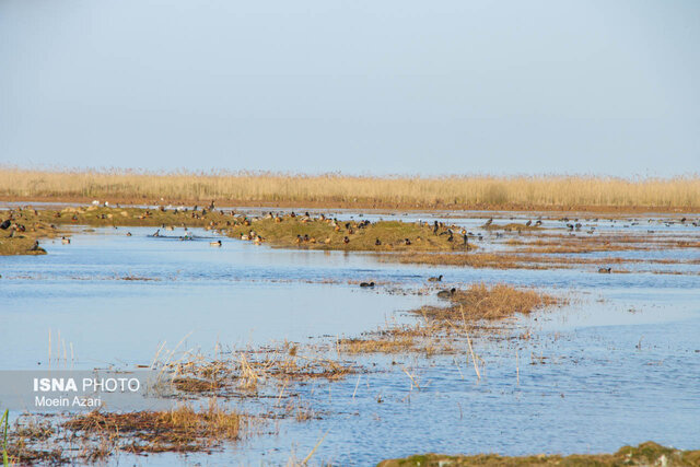 الزامات دیده نشده برای توسعه متوازن در استان گیلان