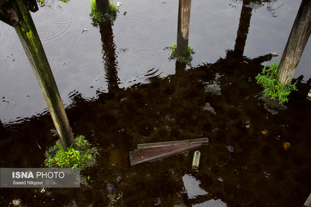 آخرین وضعیت پل چوبی آبکنار در روزهای پایانی شهریور و لزوم ترمیم و بازسازی