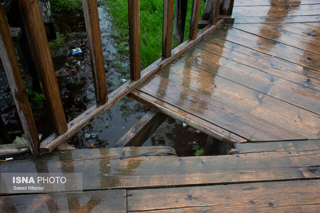 آخرین وضعیت پل چوبی آبکنار در روزهای پایانی شهریور و لزوم ترمیم و بازسازی