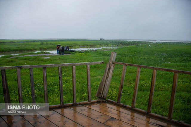 آخرین وضعیت پل چوبی آبکنار در روزهای پایانی شهریور و لزوم ترمیم و بازسازی