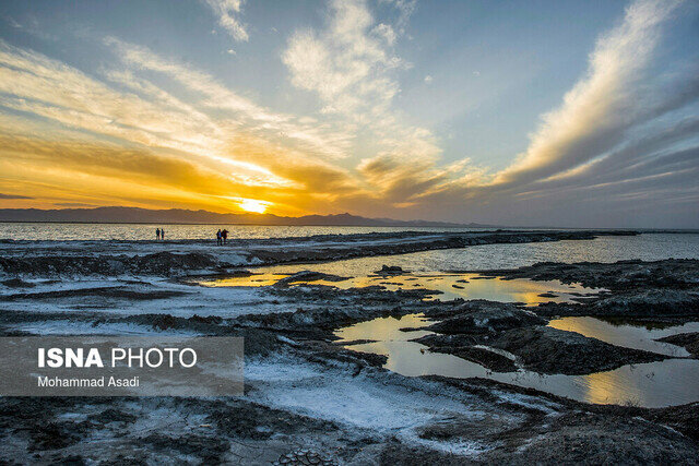 میقان نیازمند آب و توجهات ویژه میقان نیازمند آب و توجهات ویژه