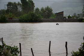 جاری شدن سیل در آستارا