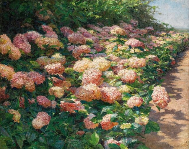 نقاش گلها را بشناسید