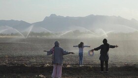 «خانواده خلج» متقاضی سینما حقیقت شد