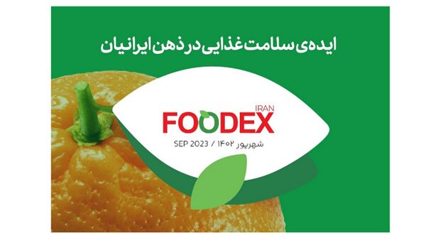 بررسی تخصصی ایده سلامت غذایی در ذهن ایرانیان