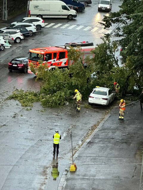 طوفان شدید در فنلاند و قطعیِ برقِ هزاران خانه