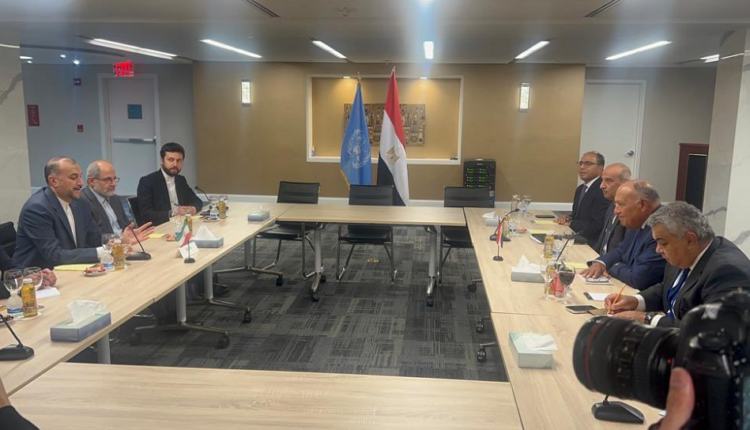 گسترش روابط دوجانبه، محور گفتگوهای وزیران خارجه ایران و مصر