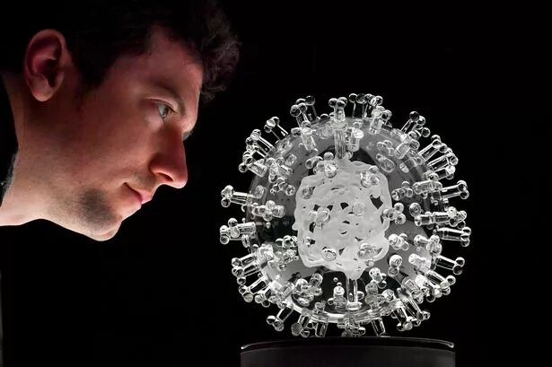 مردی که عاشق ویروسهاست! + تصاویر مردی که عاشق ویروسهاست! + تصاویر