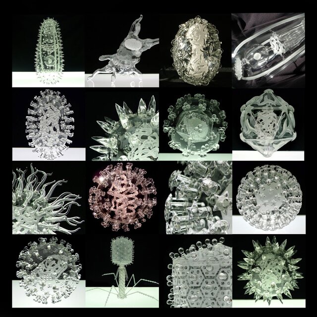 مردی که عاشق ویروسهاست! + تصاویر