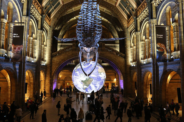 مردی که عاشق ویروسهاست! + تصاویر