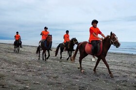 برگزاری مسابقات استانی استقامت اسب کاسپین در ساحل قروق تالش + فیلم