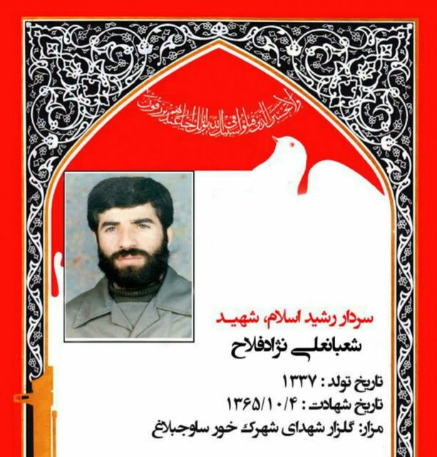 شهید البرزی و دغدغه سرطانزا بودن پلاستیک