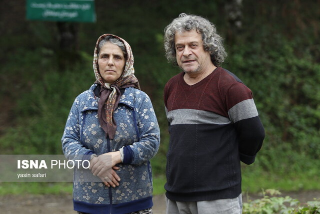 شکار بیرویه برکت زندگی را میبرد/ میراث ارزشمند جنگل باید حفظ شود