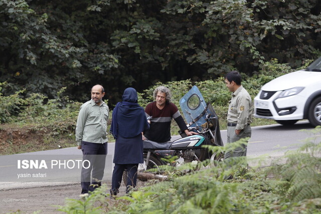 شکار بیرویه برکت زندگی را میبرد/ میراث ارزشمند جنگل باید حفظ شود