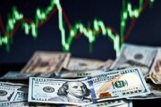 افزایش تورم ناشی از دستکاری نرخ ارز است