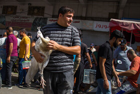 بازار الغزل به خصوص در روزهای جمعه با ازدحام فروشندگان و علاقه‌مندان به نگهداری پرندگان و حیوانات دست آموز و وحشی همراه است.