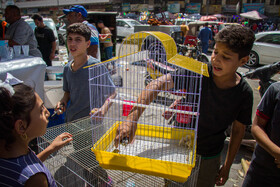 بازار الغزل محل تجمع فروشندگان حیوانات اهلی و وحشی از اکثر شهرهای عراق است و مردم برای خرید حیوانات یا برای نگاه کردن و تفریح در این بازار تردد می‌کنند.