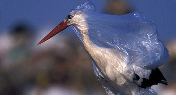 وجود ۱۷۰ تریلیون ذره پلاستیکی در دریاها و اقیانوسها/ پلاستیک بلای جان آبزیان