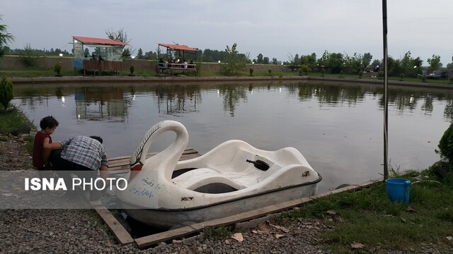 کارآفرینی با رویای کودکی/ خانه درختی خانواده دکتر ارنست در "دهنه سر شیجان"