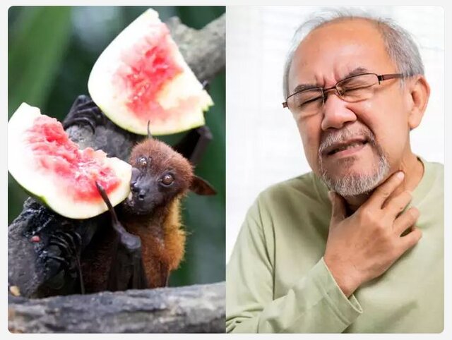 ویروسی با پتانسیل همهگیری