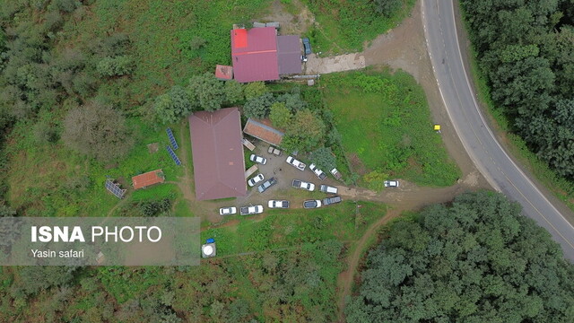 فصل گاوبانگی در زیستگاه های هیرکانی