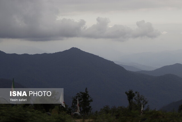 فصل گاوبانگی در زیستگاه های هیرکانی