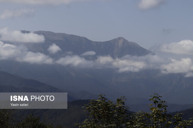فصل گاوبانگی در زیستگاه های هیرکانی