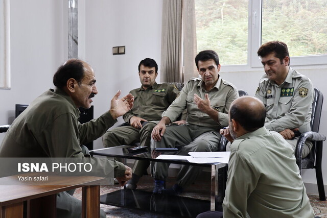 فصل گاوبانگی در زیستگاه های هیرکانی