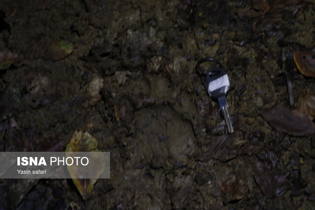 فصل گاوبانگی در زیستگاه های هیرکانی