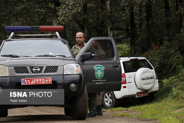 فصل گاوبانگی در زیستگاه های هیرکانی