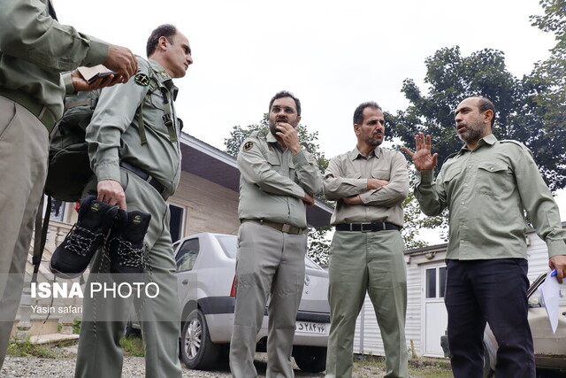 فصل گاوبانگی در زیستگاه های هیرکانی