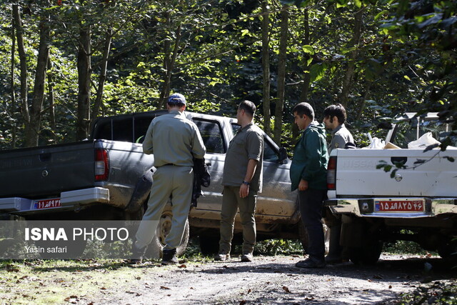فصل گاوبانگی در زیستگاه های هیرکانی