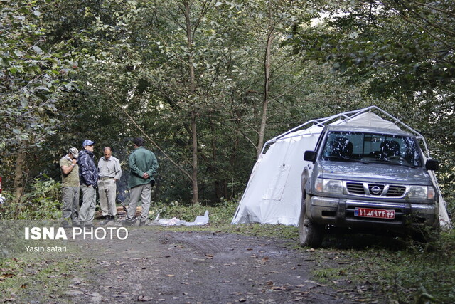 فصل گاوبانگی در زیستگاه های هیرکانی