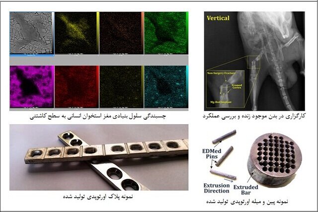 تولید ایمپلنتهای جذبی با سبکترین فلز دنیا/درگیری توسعه فناوری با عدم چابکی سیستم دولتی تولید ایمپلنتهای جذبی با سبکترین فلز دنیا/درگیری توسعه فناوری با عدم چابکی سیستم دولتی
