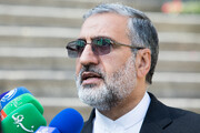 واکنش اسماعیلی به اظهارات رئیس جمعیت هلال احمر درباره احتمال ترور شهید رئیسی