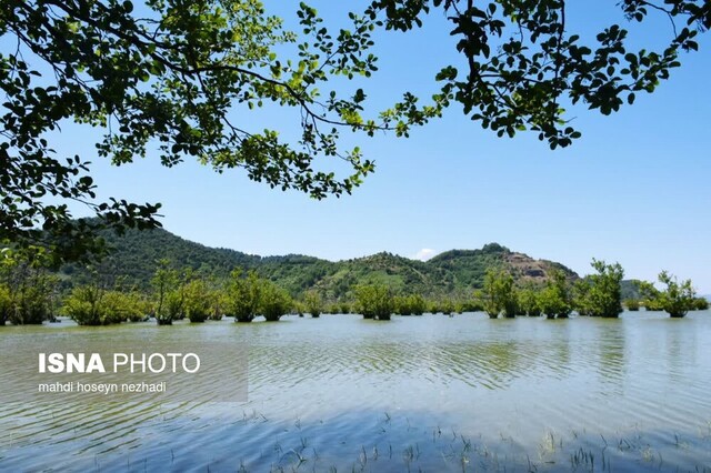 بارش های سیل آسا حیات طبیعی تالاب استیل آستارا را احیا کرد + تصاویر