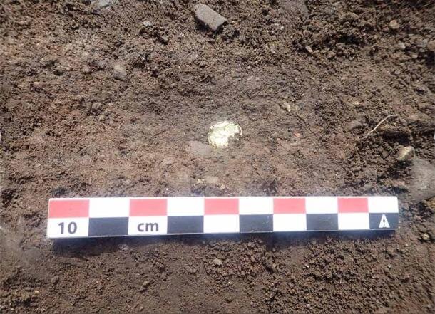 کشف ورقههای مرموز طلا + عکس