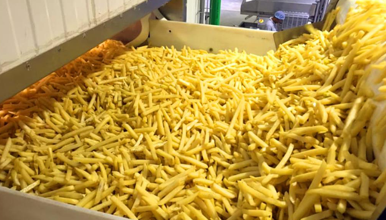 راهنمای راهاندازی خط تولید فرنچ فرایز در ایران